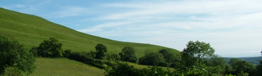 Environmental protection 